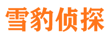 任城市私人侦探